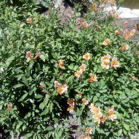 Chez Gwen Et Flo B&B