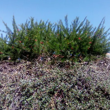 Chez Gwen Et Flo B&B 숄레