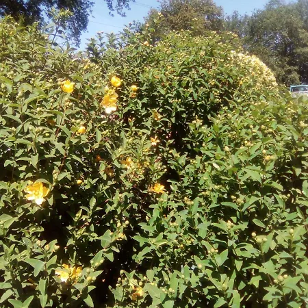 Chez Gwen Et Flo Nocleg ze śniadaniem