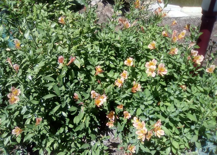 Chez Gwen Et Flo 住宿加早餐酒店