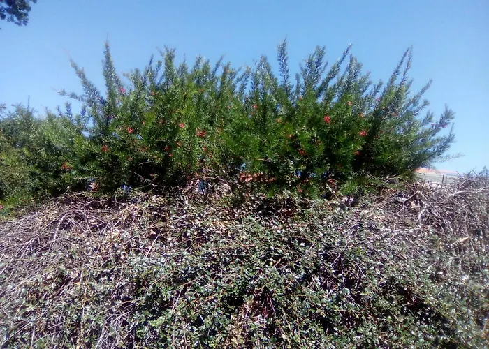 Chez Gwen Et Flo Frühstückspension Cholet