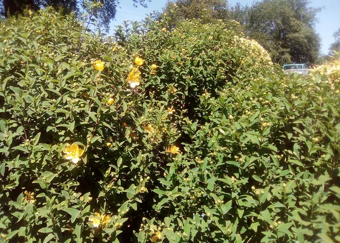 Chez Gwen Et Flo 住宿加早餐酒店